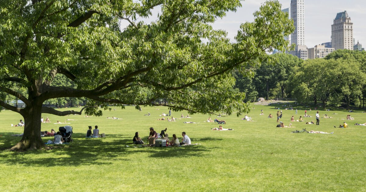 🏞️ 후지시 중앙공원 (후지시 주오코엔) 이미지 4